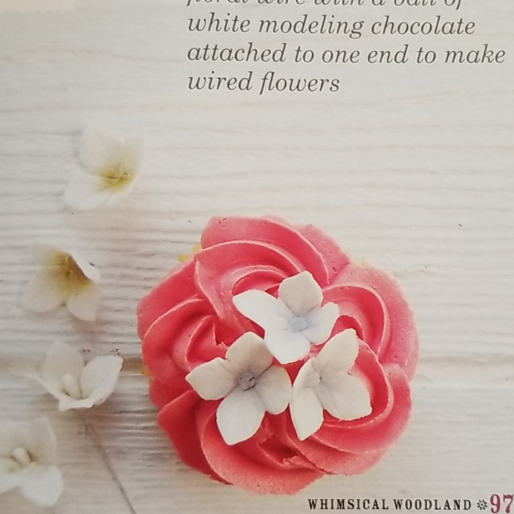 NEW Chocolate Modeling Cake Decorating Cookbook - Picture 5 of 16